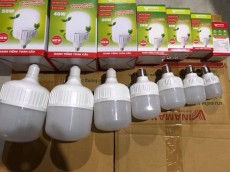 BÓNG ĐIỆN VINAMAX 30W