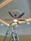 Quạt trần QT3181 cánh vân gỗ