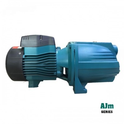 MÁY BƠM ĐẦU LỢN LEPONO 10M 750W AJM 75