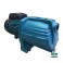 MÁY BƠM ĐẦU LỢN LEPONO 10M 750W AJM 75