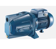 Máy Bơm Con Lợn CAM 100 (750W) cánh đồng