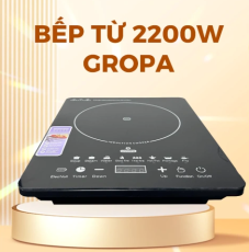 Bếp từ ĐƠN ĐEN GROPA 2.200W G2-602 KÈM NỒI