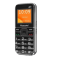 Masstel Fami12S 4G