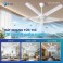 QUẠT TRẦN EV05 TLC – MÀU TRẮNG