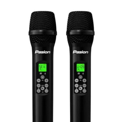 MIC CD M166