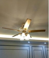 Quạt trần 1255BK có đèn