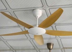 Quạt trần Eva A505